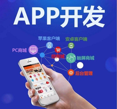 淘小鋪系統(tǒng)軟件開(kāi)發(fā)與移動(dòng)互聯(lián)網(wǎng)APP技術(shù)開(kāi)發(fā)的融合創(chuàng)新