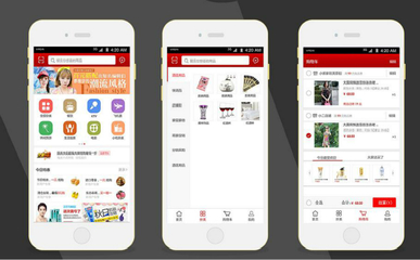 B2C電商APP軟件開發(fā)方案及價格淺析